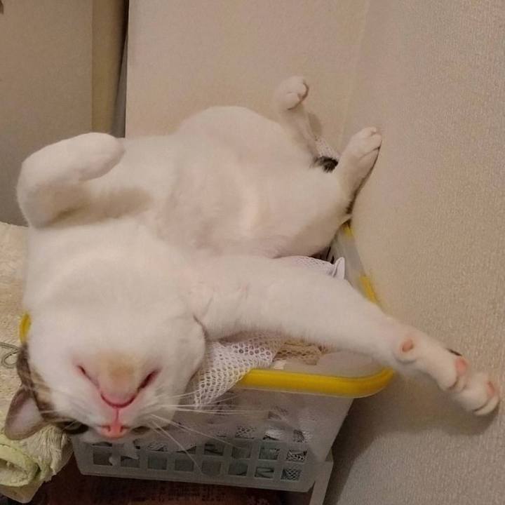 6a467c36 f239 4c86 8127 6d4d74a7b663 1726147132313