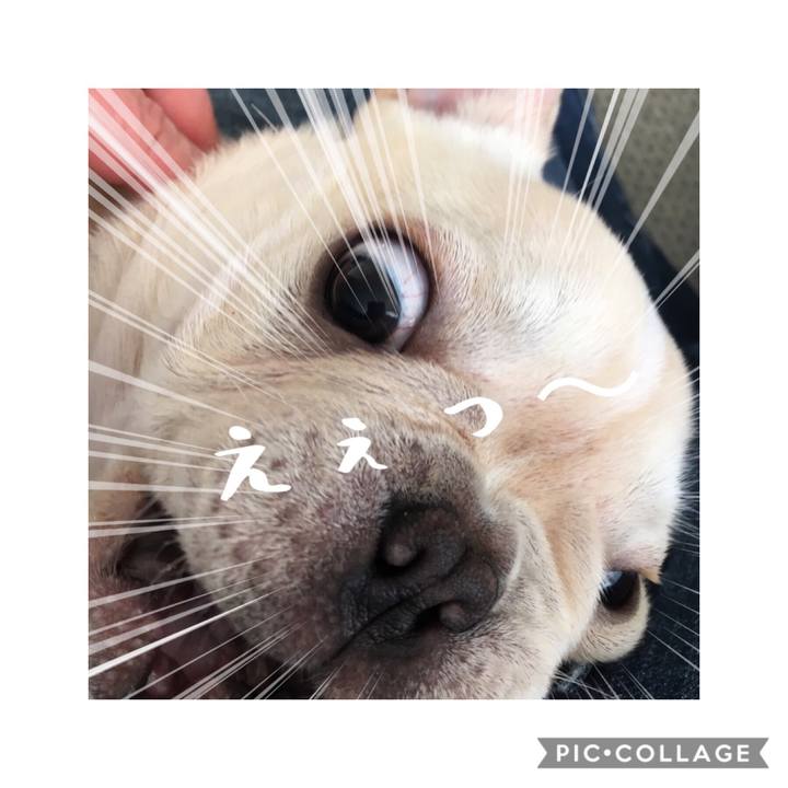 6a46a729 7888 440c 9b61 1255a51e78e5 1568007138157