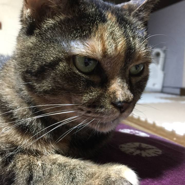 6a46b439 d942 466c b109 0c954a9d2bde 1510056824582