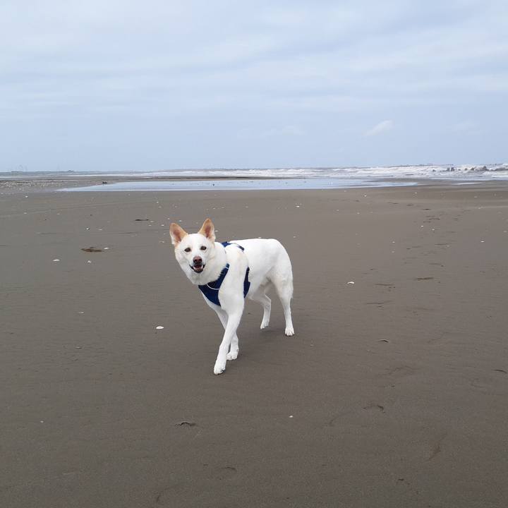 6a46b80e d764 458e 8dbb c96e05d7a6c7 1685991753463