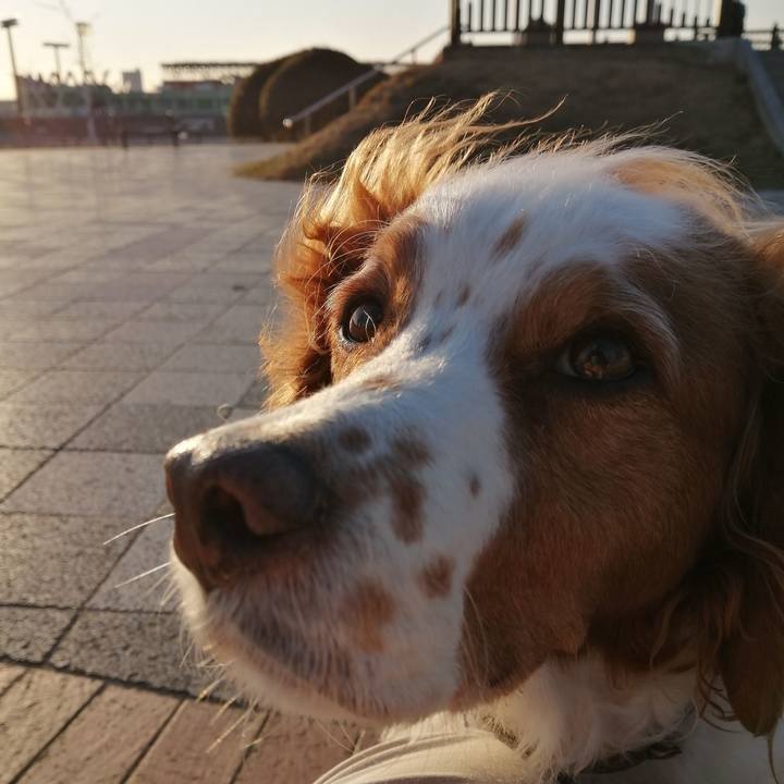 6a46bd8e 9a62 46cc 88bc 6fdbe028b575 1610961670149