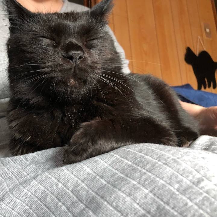 6a471775 d511 42b7 bd20 1c7f59b33ae7 1566291515201