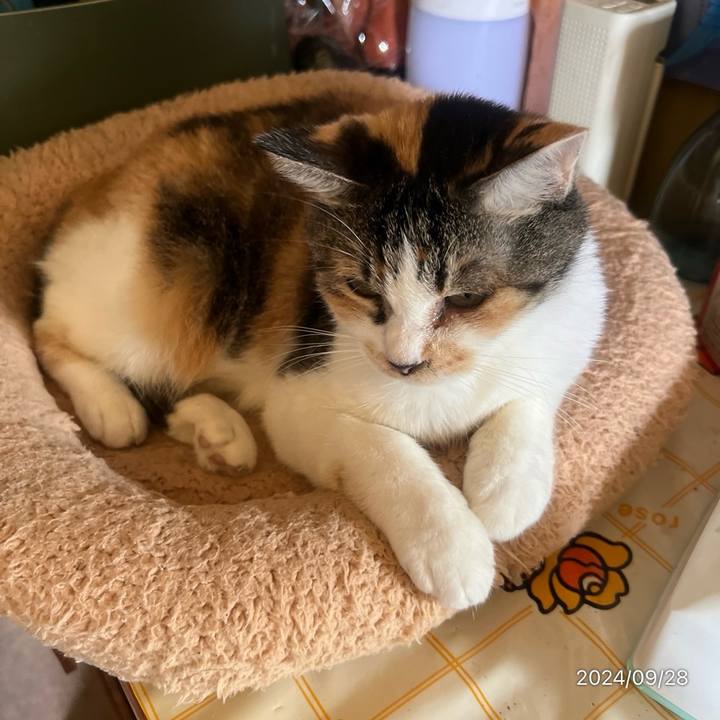 6a47542f 7786 443b afd2 c7585fb9198b 1727483803992