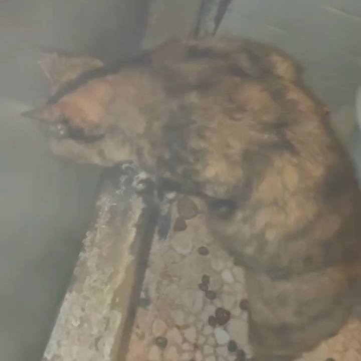 6a476ae4 6f79 4291 9de2 52f987217ba1 1765918913025