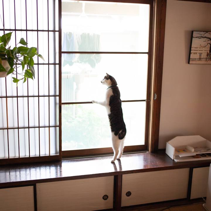 6a47a127 71b1 4ec2 a2ec 93fe6d24ee78 1583048106354