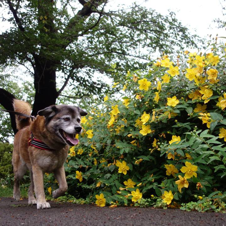 6a47bf73 fa28 4aba 9772 b3cdb24f6589 1559987906307