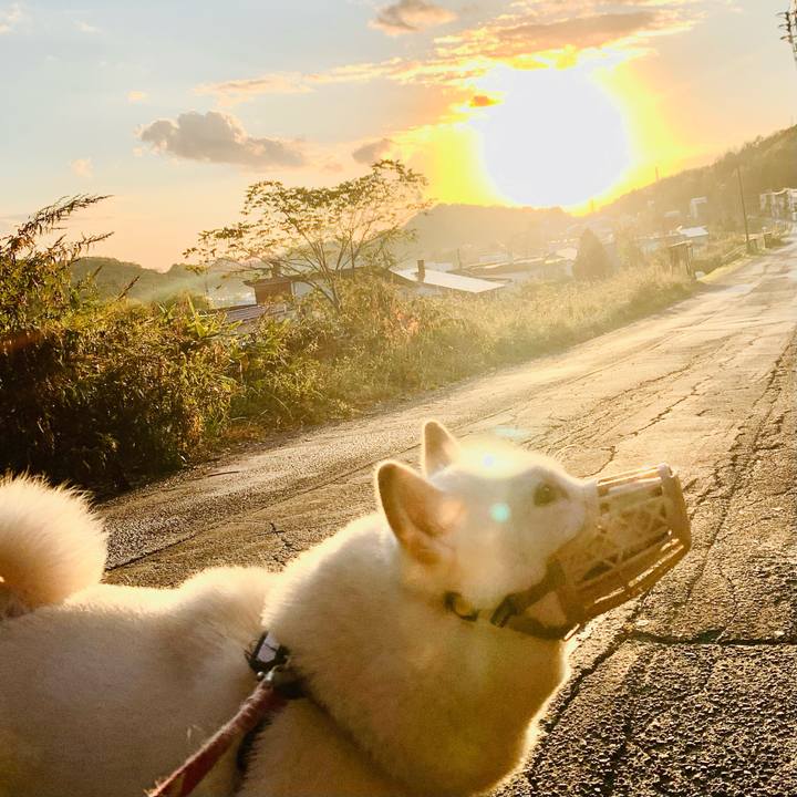 6a47c320 d567 4bad 99dd 8e156c76ad13 1602888476795