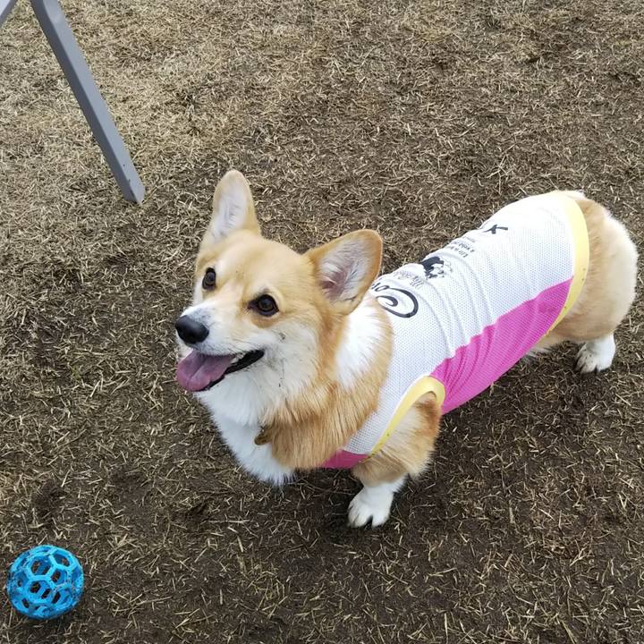 6a47ccf2 588e 4f3e 9a05 894ae1f88e3d 1545047790967