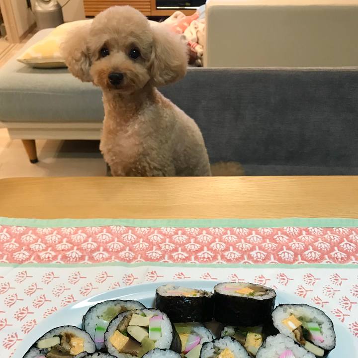 6a47fe8c 0bad 417c bcda 3d4c6c7544bd 1580733115543