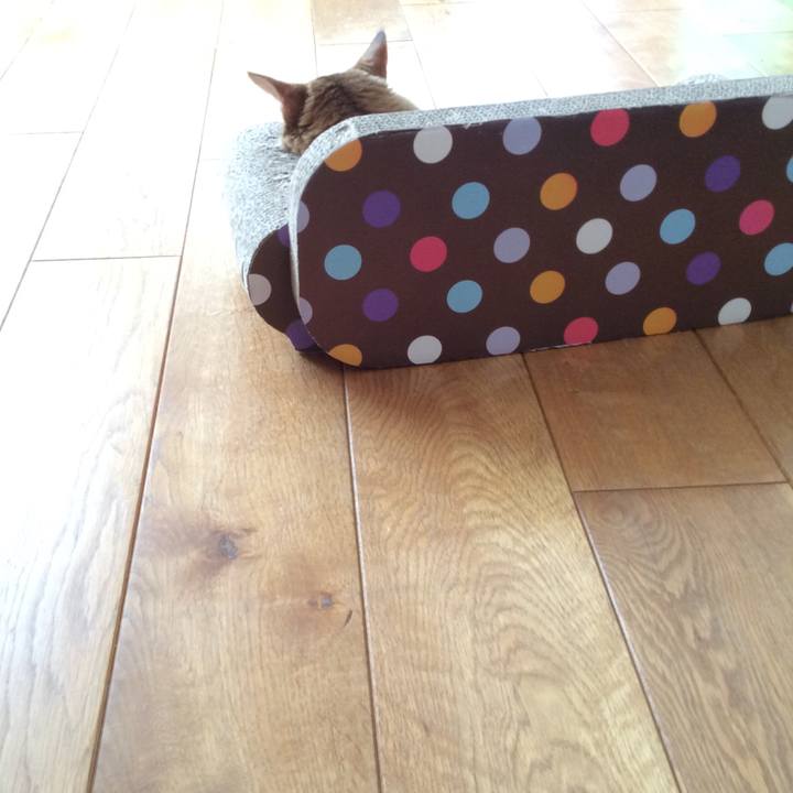 6a4825ea e4fb 4946 808f e32fd54d2af0 1580776990248