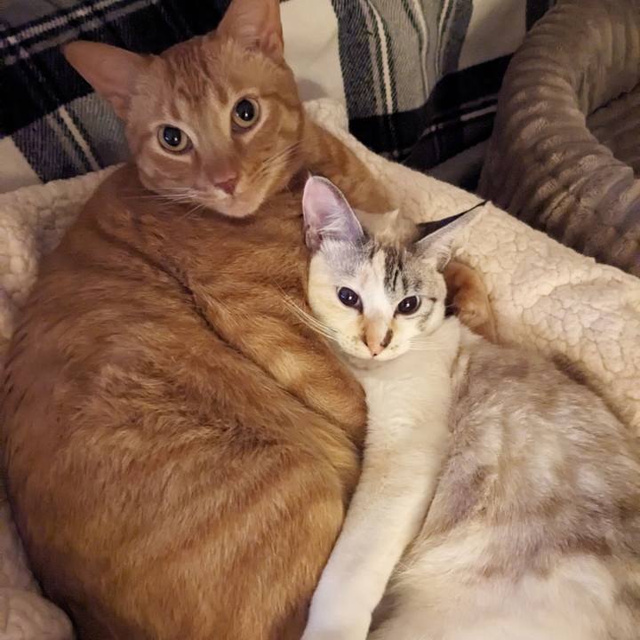 6a4877a0 0c26 480f b09a 3f4adbdea2b9 1711250501627