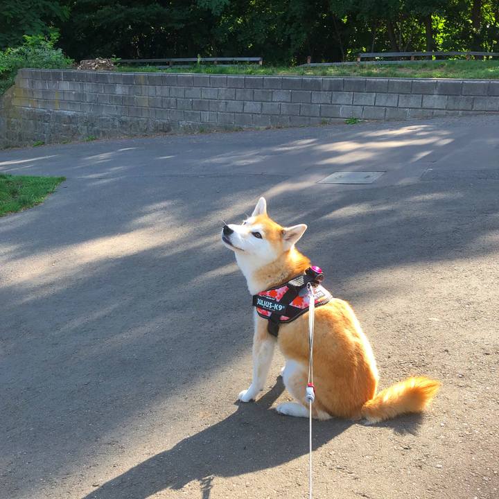 6a487e4a ba7f 4a6e 81d2 3473c0412526 1597713259984