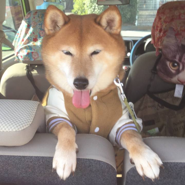 6a489e26 a16c 469a 854d 67227a161ab8 1579246098778