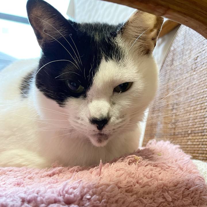 6a489e77 cf6f 464c b16d 918a6e795f5b 1766703109212