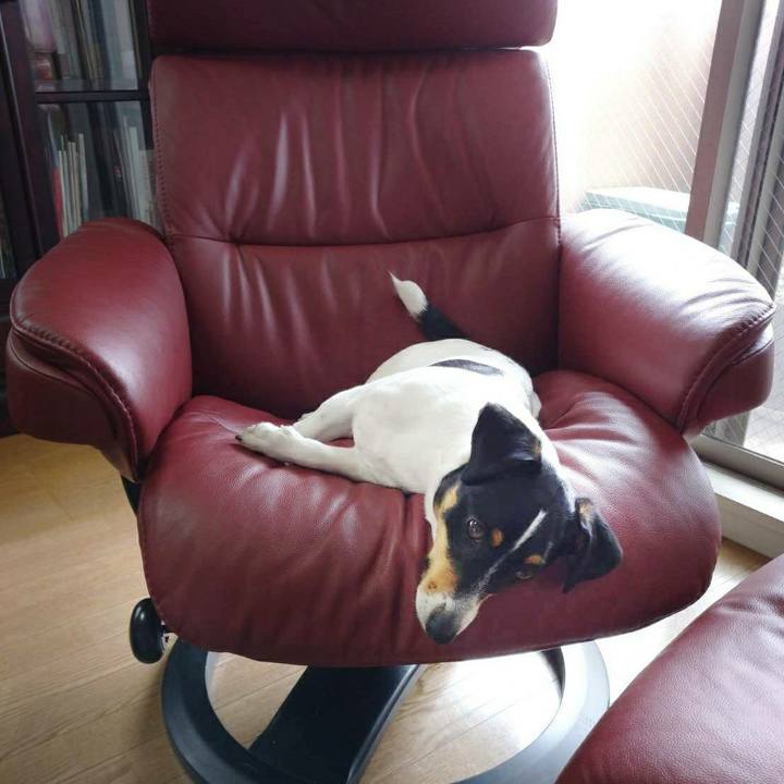 6a48afbd 3f9b 4478 88a5 b4d4d9da3f13 1588478355592