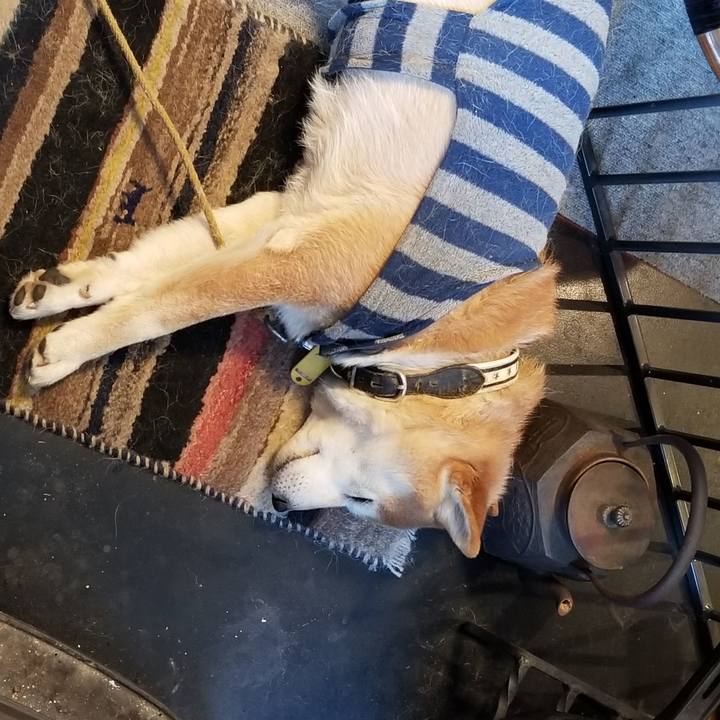 6a48c0ea 298a 4a9f 931b 2ed66ae21e40 1612911023970