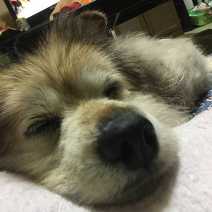 6a48d859 e604 4d7f a6dd 8cc16ad92d4f 1662348790976