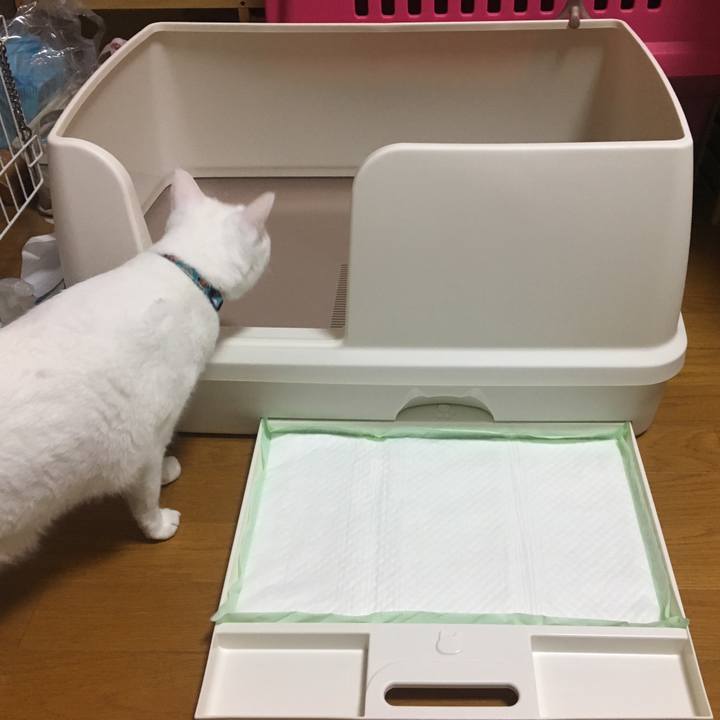 6a490964 b88a 4c56 912c 32146a39f1e1 1534420551950