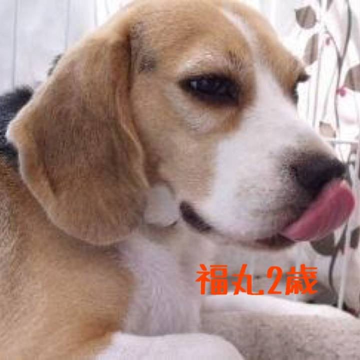 6a491cf3 fc99 4fad 9034 c609fcf50c2f 1509519691151