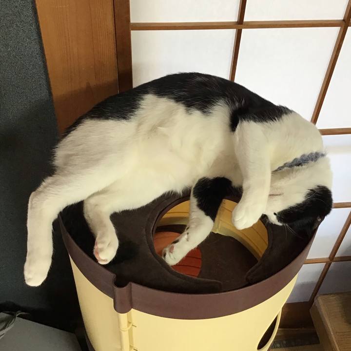 6a494dd4 6d25 4baa b6ad c89360090bf6 1641687089892