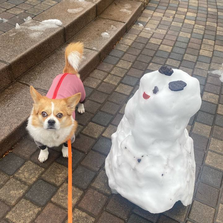 6a4987de 6942 4f60 93b3 1073b7a2b9c4 1707195214479