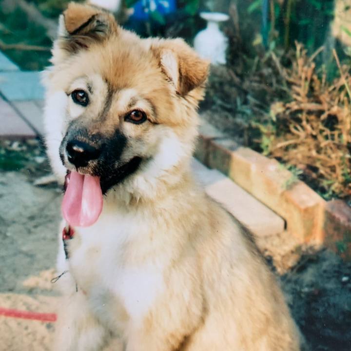 6a498855 ea54 4b20 9504 a67a2d84dd51 1610125819293