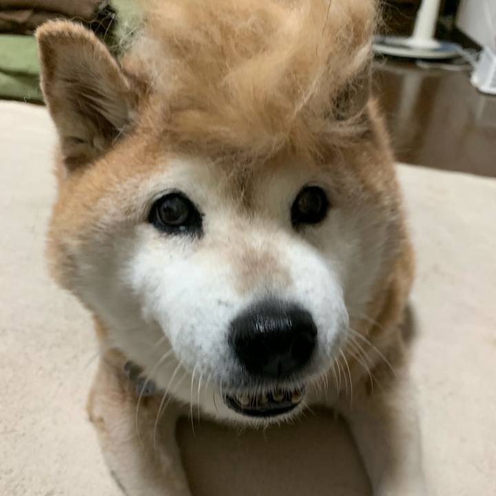 6a499563 09e8 4100 b8a6 704fc5f9c8f8 1595678289645