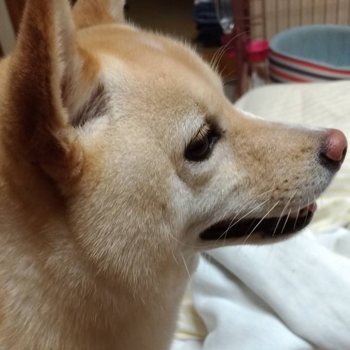 6a49a660 9bf3 4ec3 a2d1 2b5260717c44 1566217477384