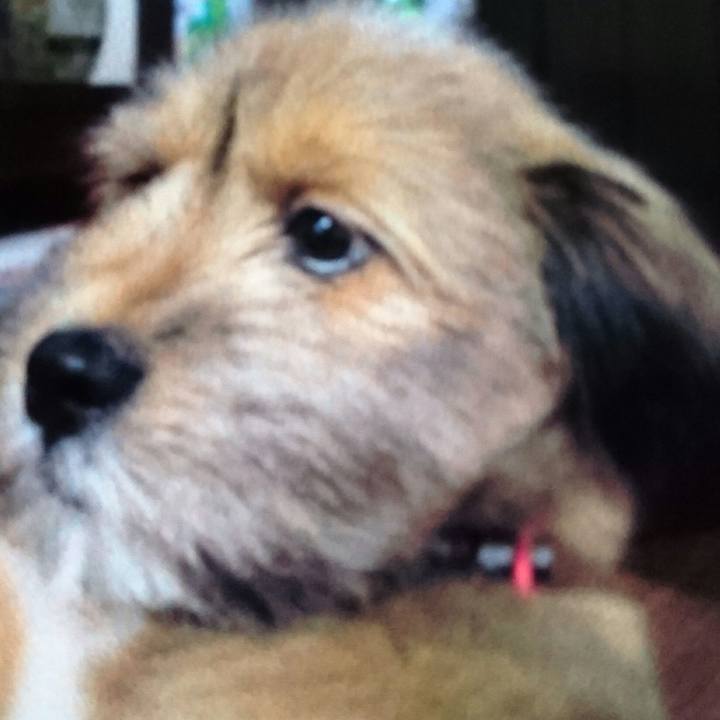 6a49ec3c 83c2 4e93 b819 74a188dc164a 1528721831120