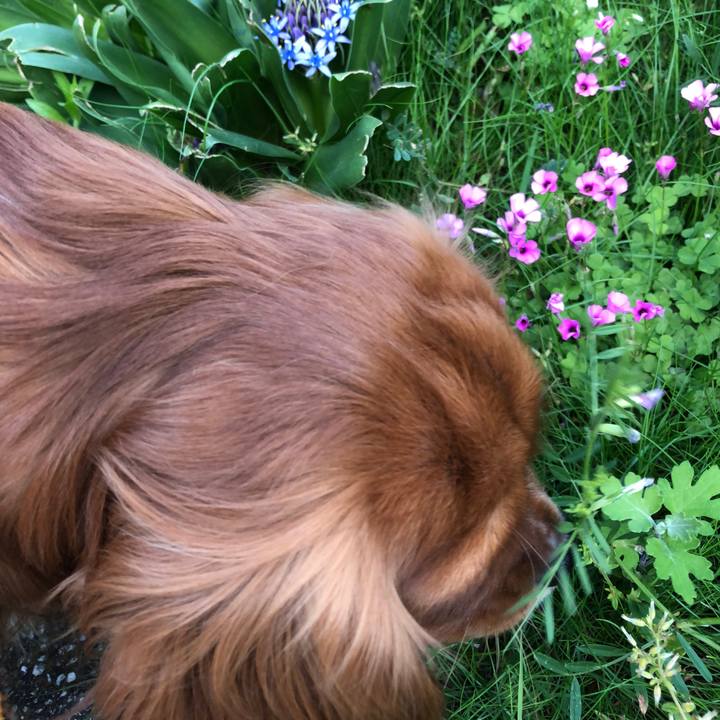 6a4a3f85 561d 4f77 a539 abd765addaa1 1524904168899