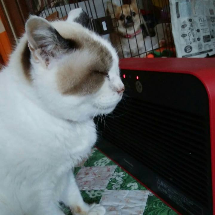 6a4a4744 c128 4523 b636 5326b7961d70 1509403765550