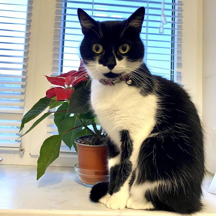 6a4a485f a912 49b0 996c 4fb24cc5ddb9 1611299191433