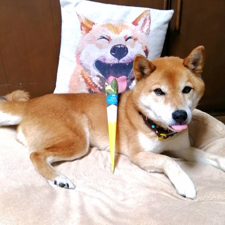 6a4a4ab2 119f 4f7e a66f a8ac25e346f8 1655635115100