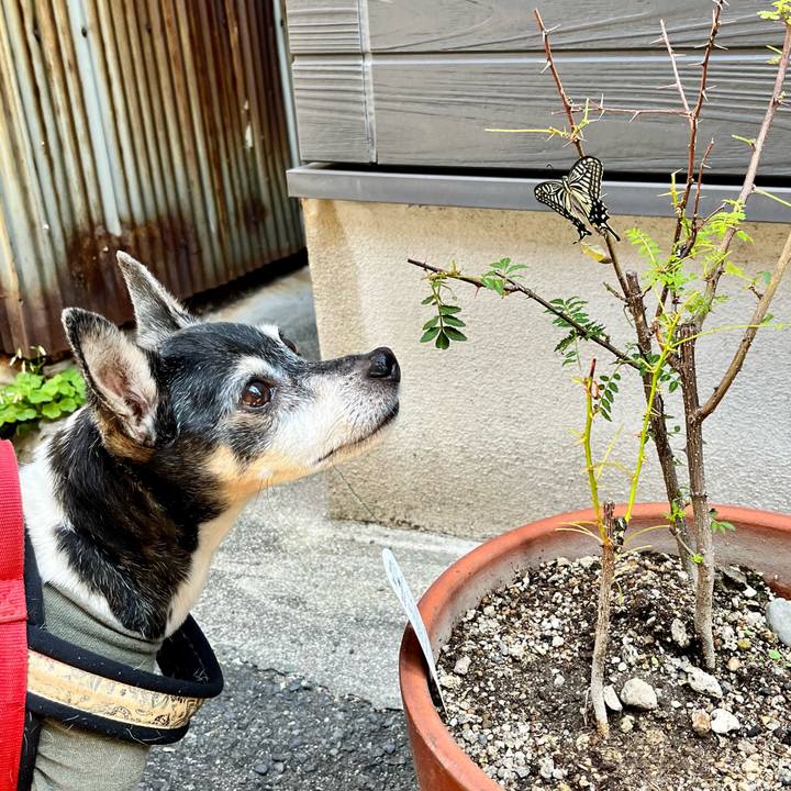 6a4a7678 bb45 4fcf 92e9 c565e5081798 1653691323370