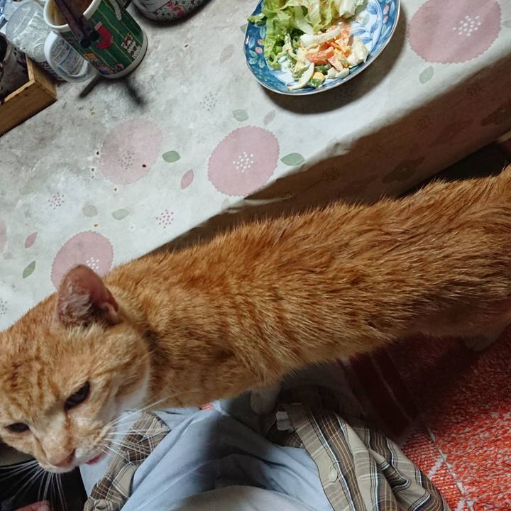 6a4a794e 4efe 4381 8690 90365959ff96 1592135368726