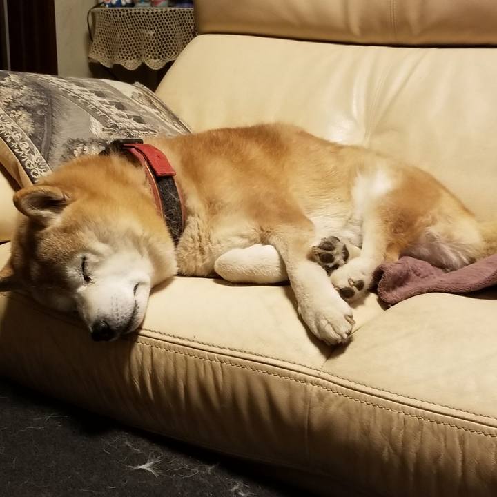 6a4a885c bece 4545 981e 79fd3161c798 1737634471440