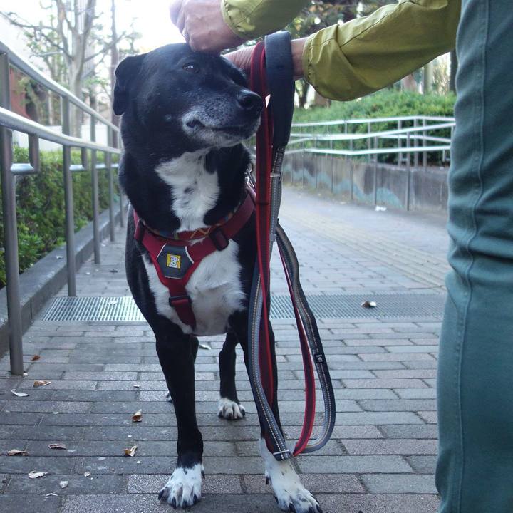 6a4a9eee cd7c 4a00 b5bc 80748d2794ec 1698974346550