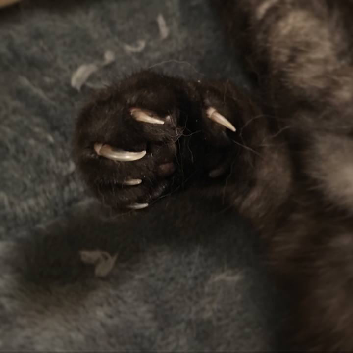 6a4b35d1 f4ad 4472 9ae8 4227373cb54d 1559357999948