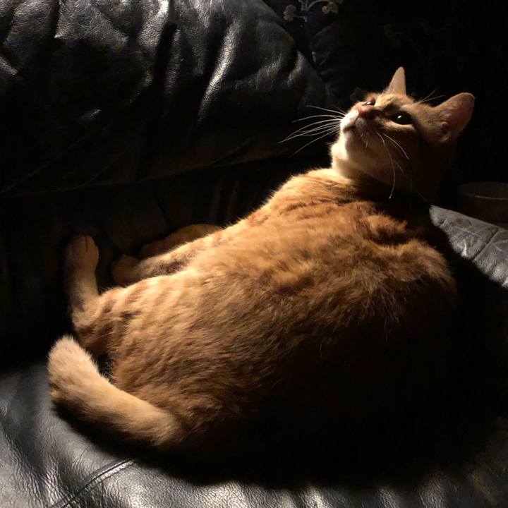 6a4b4880 7872 469c a7d4 672188a81e54 1595416698796