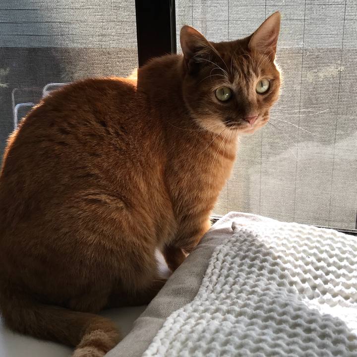 6a4b48c2 de7f 4775 a8ca f61bc6604846 1509160742142