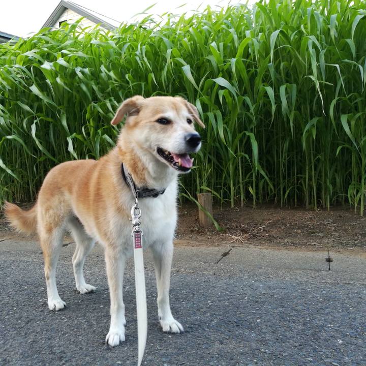 6a4b61b3 e8cc 4b9e 91fd f697c5dd00dc 1565750073567