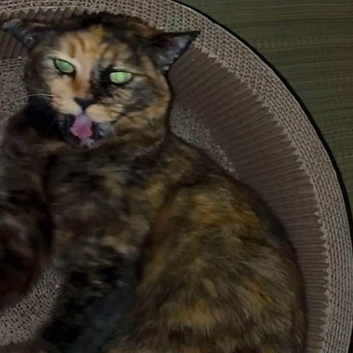 6a4b8177 f496 49f9 b51a f227cb31ced7 1761770750387