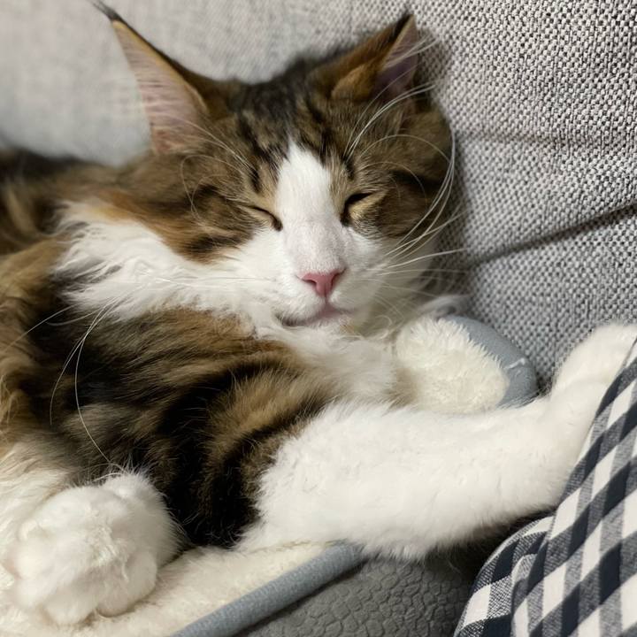 6a4baeb0 aa50 4569 b94a e82d99aa3137 1637758081028