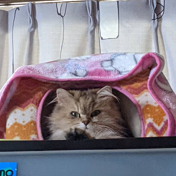 6a4bb2a8 2ab6 44e4 b8a8 d070f3c82a0b 1651499840060