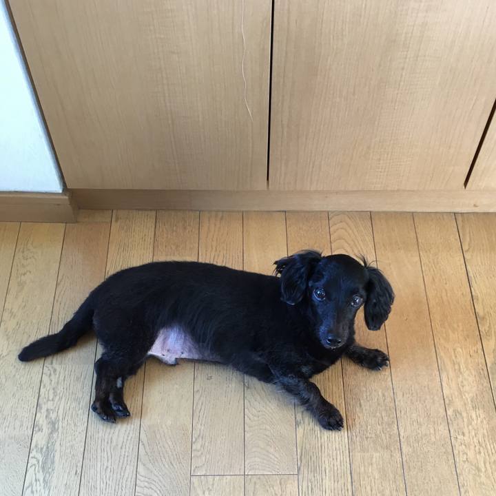 6a4bc6bc 371e 4121 beb9 8c35ec043bcb 1531262843022