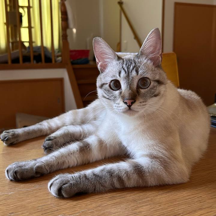 6a4c36ee 878d 4410 8f3d 087ddd7b4601 1751751622325