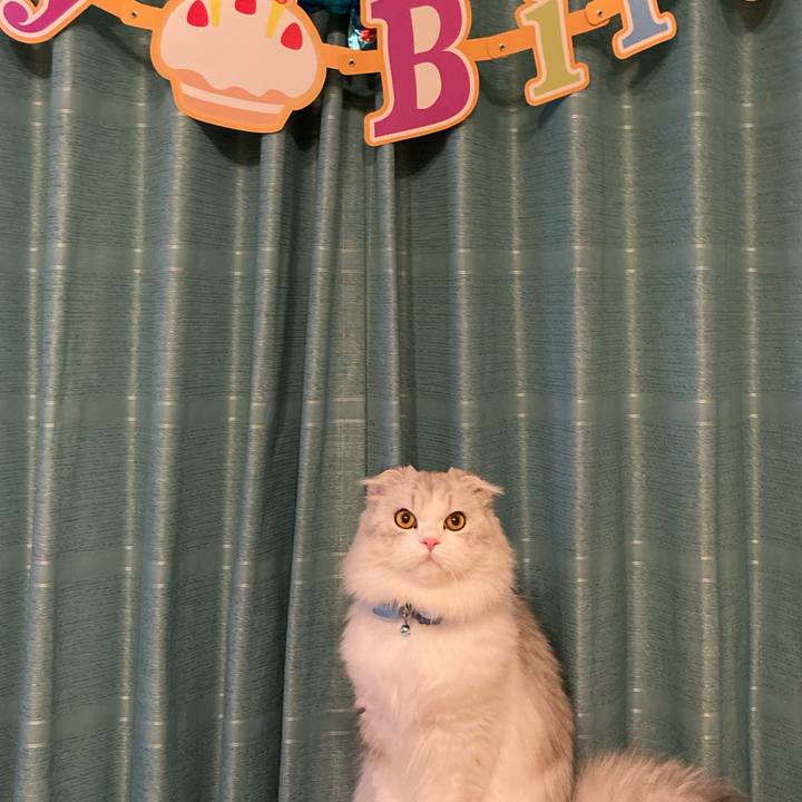 6a4c3b31 8159 4fc6 a8d3 d3eea4c3a189 1619960771505