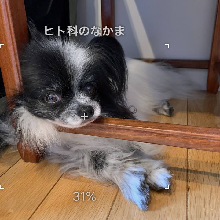 6a4c3b71 a7e7 4c2c b94f 50ff4ce72185 1599301984222