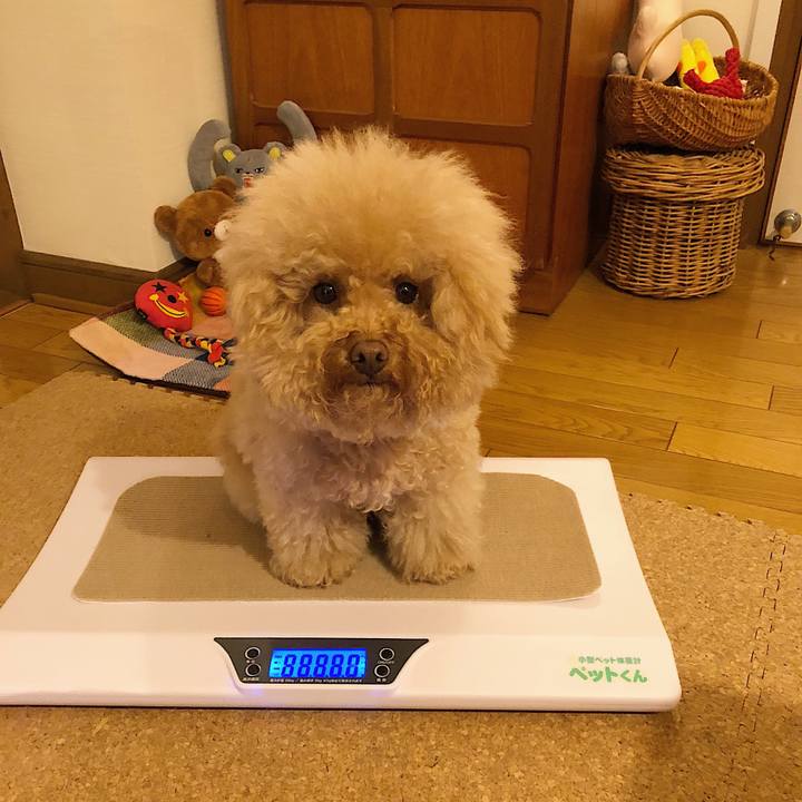 6a4c5579 a5e5 409b 9667 879f093c3cfb 1527585451923