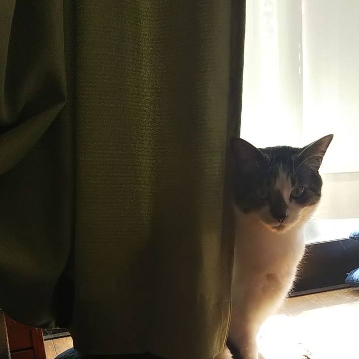 6a4c58dc d7c6 4821 979a 4a608bc79bad 1605667276674